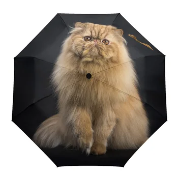 Персийски котки, красиви, пухкави животни, открит Ветрозащитный чадър от дъжд, Напълно автоматично, осем нишки, мъжки, женски, големи чадъри, чадър